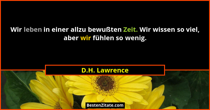 Wir leben in einer allzu bewußten Zeit. Wir wissen so viel, aber wir fühlen so wenig.... - D.H. Lawrence