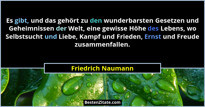 Es gibt, und das gehört zu den wunderbarsten Gesetzen und Geheimnissen der Welt, eine gewisse Höhe des Lebens, wo Selbstsucht und... - Friedrich Naumann