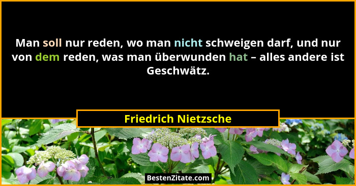 Man soll nur reden, wo man nicht schweigen darf, und nur von dem reden, was man überwunden hat – alles andere ist Geschwätz.... - Friedrich Nietzsche