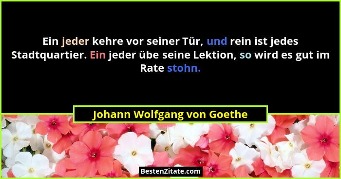 Ein jeder kehre vor seiner Tür, und rein ist jedes Stadtquartier. Ein jeder übe seine Lektion, so wird es gut im Rate sto... - Johann Wolfgang von Goethe
