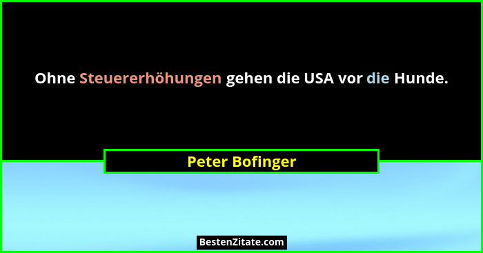 Ohne Steuererhöhungen gehen die USA vor die Hunde.... - Peter Bofinger