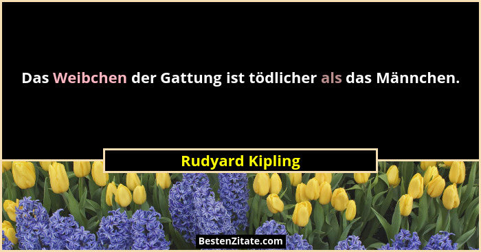 Das Weibchen der Gattung ist tödlicher als das Männchen.... - Rudyard Kipling