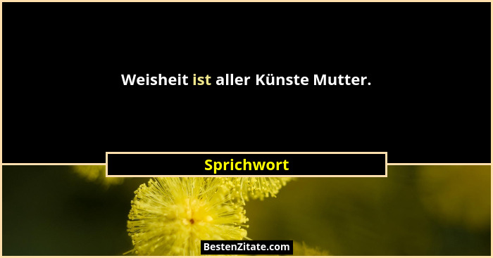 Weisheit ist aller Künste Mutter.... - Sprichwort
