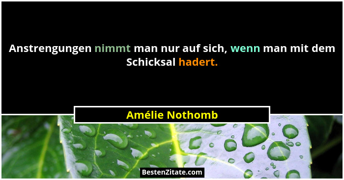 Anstrengungen nimmt man nur auf sich, wenn man mit dem Schicksal hadert.... - Amélie Nothomb