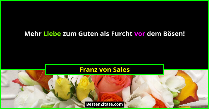 Mehr Liebe zum Guten als Furcht vor dem Bösen!... - Franz von Sales