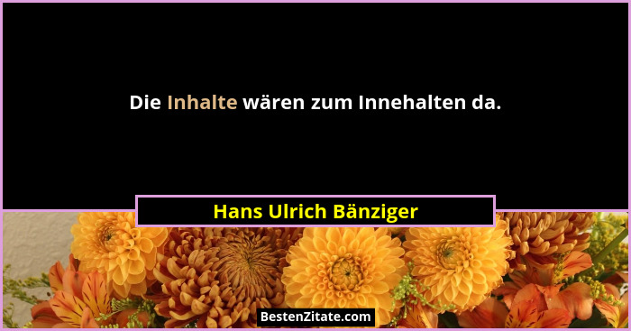 Die Inhalte wären zum Innehalten da.... - Hans Ulrich Bänziger