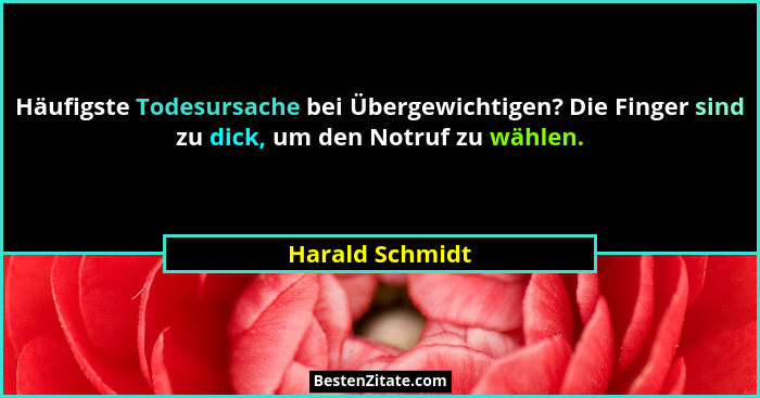 Häufigste Todesursache bei Übergewichtigen? Die Finger sind zu dick, um den Notruf zu wählen.... - Harald Schmidt