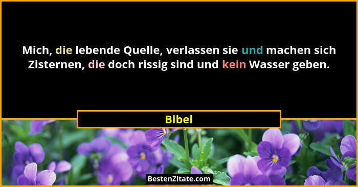 Mich, die lebende Quelle, verlassen sie und machen sich Zisternen, die doch rissig sind und kein Wasser geben.... - Bibel