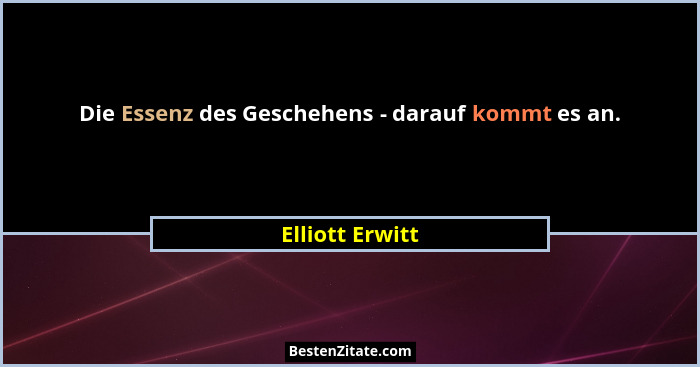 Die Essenz des Geschehens - darauf kommt es an.... - Elliott Erwitt