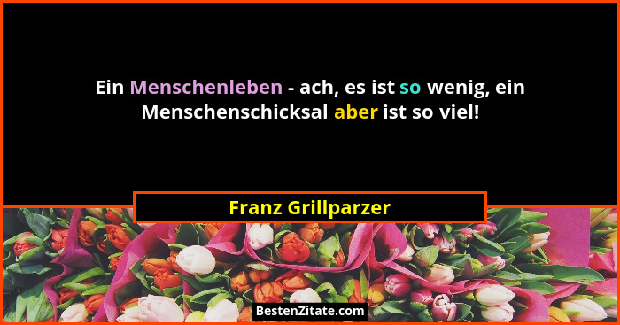 Ein Menschenleben - ach, es ist so wenig, ein Menschenschicksal aber ist so viel!... - Franz Grillparzer