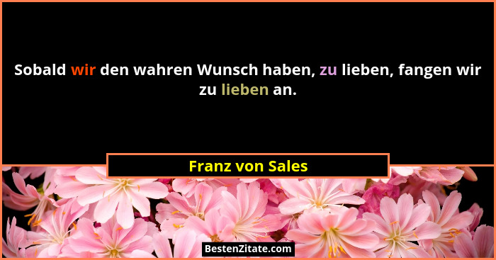 Sobald wir den wahren Wunsch haben, zu lieben, fangen wir zu lieben an.... - Franz von Sales