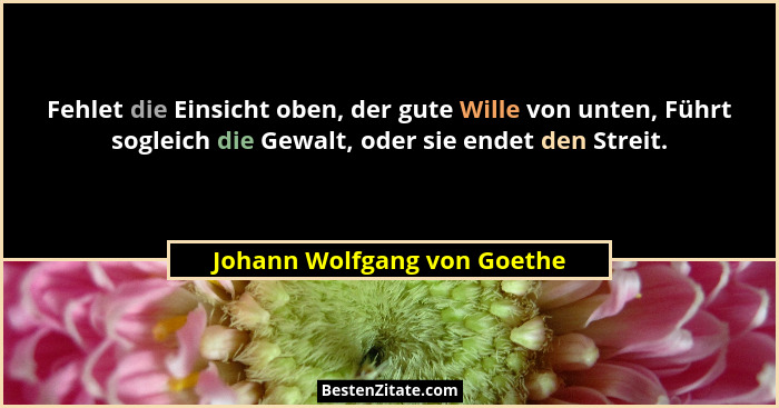 Fehlet die Einsicht oben, der gute Wille von unten, Führt sogleich die Gewalt, oder sie endet den Streit.... - Johann Wolfgang von Goethe