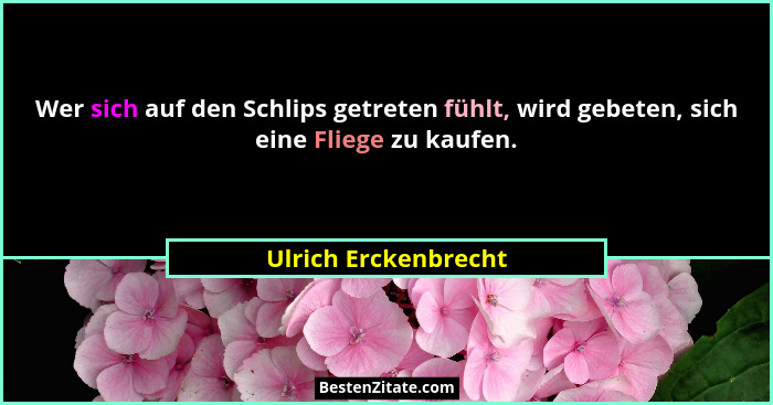 Wer sich auf den Schlips getreten fühlt, wird gebeten, sich eine Fliege zu kaufen.... - Ulrich Erckenbrecht