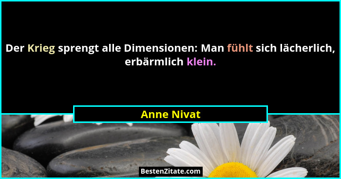 Der Krieg sprengt alle Dimensionen: Man fühlt sich lächerlich, erbärmlich klein.... - Anne Nivat