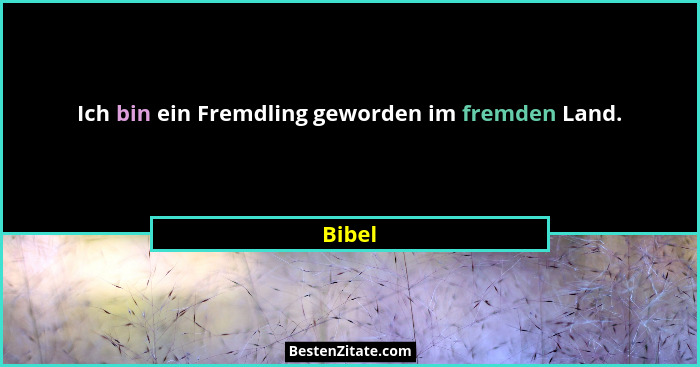 Ich bin ein Fremdling geworden im fremden Land.... - Bibel
