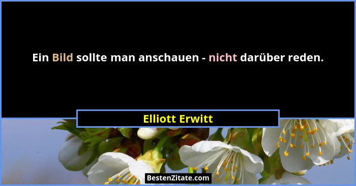 Ein Bild sollte man anschauen - nicht darüber reden.... - Elliott Erwitt