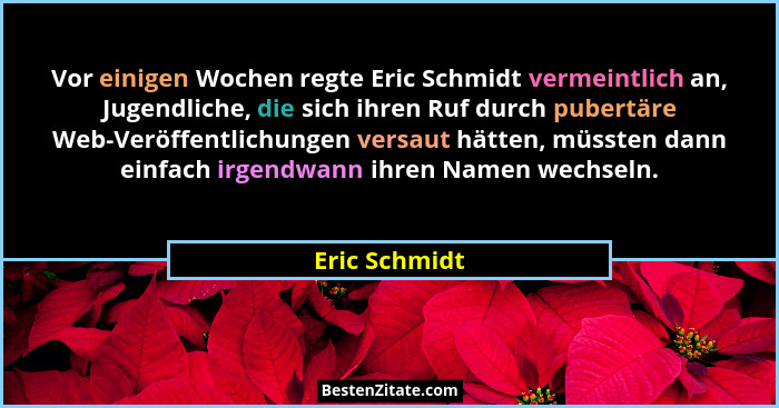 Vor einigen Wochen regte Eric Schmidt vermeintlich an, Jugendliche, die sich ihren Ruf durch pubertäre Web-Veröffentlichungen versaut h... - Eric Schmidt