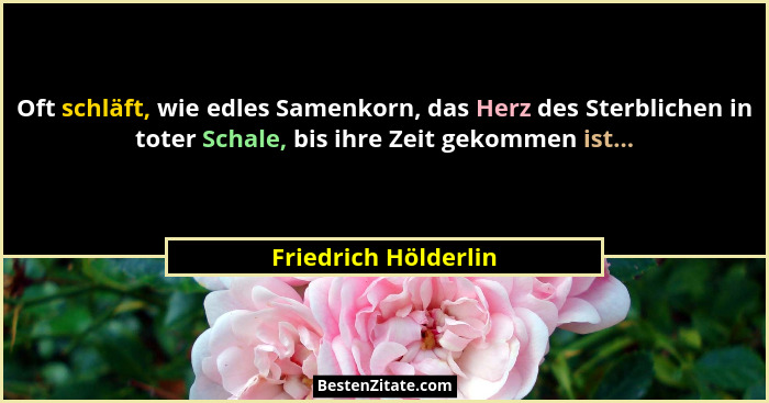 Oft schläft, wie edles Samenkorn, das Herz des Sterblichen in toter Schale, bis ihre Zeit gekommen ist...... - Friedrich Hölderlin