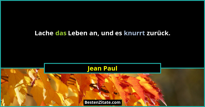 Lache das Leben an, und es knurrt zurück.... - Jean Paul