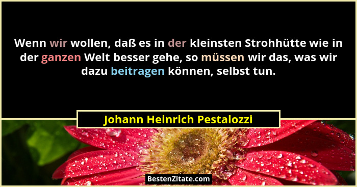 Wenn wir wollen, daß es in der kleinsten Strohhütte wie in der ganzen Welt besser gehe, so müssen wir das, was wir dazu b... - Johann Heinrich Pestalozzi