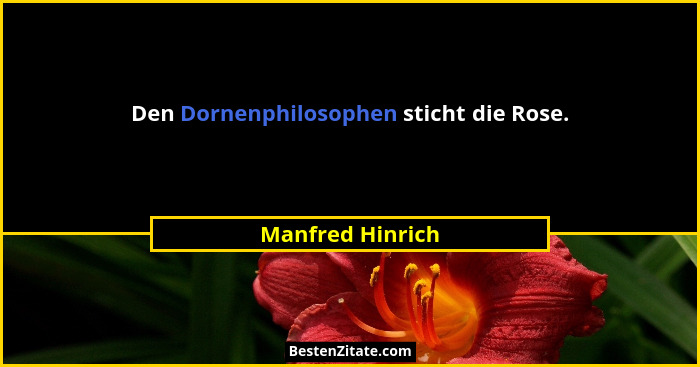Den Dornenphilosophen sticht die Rose.... - Manfred Hinrich