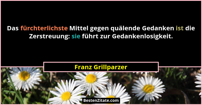 Das fürchterlichste Mittel gegen quälende Gedanken ist die Zerstreuung: sie führt zur Gedankenlosigkeit.... - Franz Grillparzer