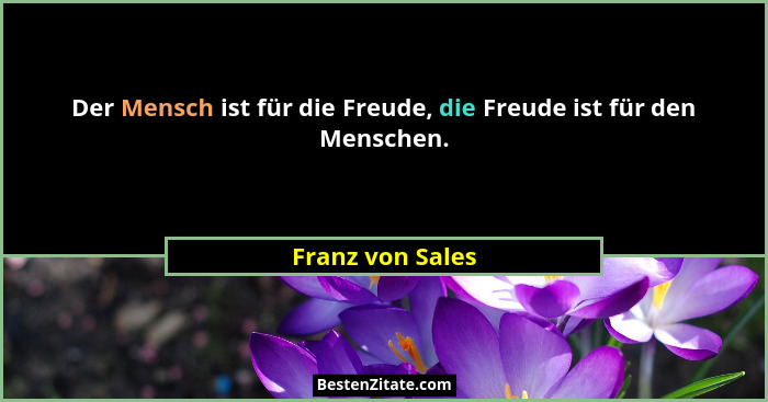 Der Mensch ist für die Freude, die Freude ist für den Menschen.... - Franz von Sales