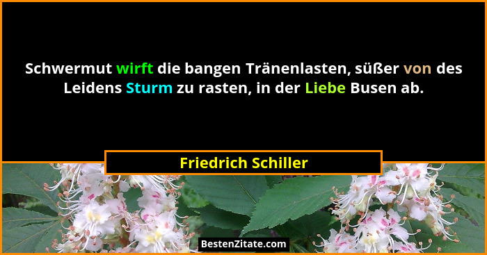 Schwermut wirft die bangen Tränenlasten, süßer von des Leidens Sturm zu rasten, in der Liebe Busen ab.... - Friedrich Schiller