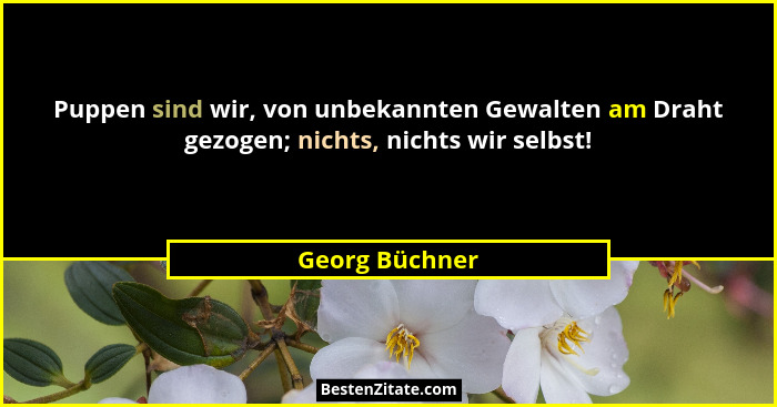 Puppen sind wir, von unbekannten Gewalten am Draht gezogen; nichts, nichts wir selbst!... - Georg Büchner