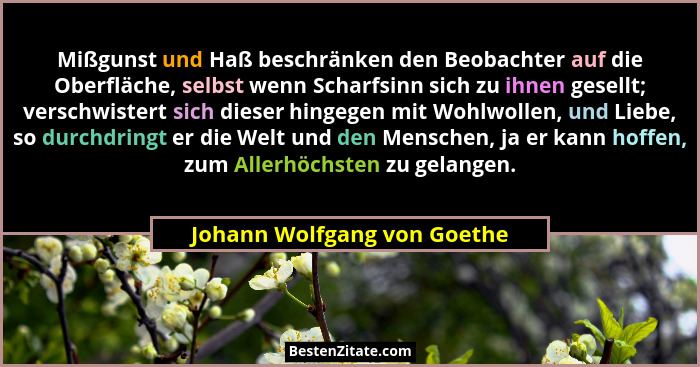 Mißgunst und Haß beschränken den Beobachter auf die Oberfläche, selbst wenn Scharfsinn sich zu ihnen gesellt; verschwiste... - Johann Wolfgang von Goethe