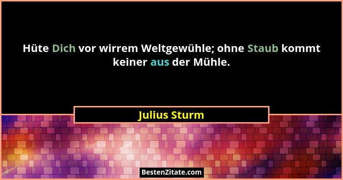 Hüte Dich vor wirrem Weltgewühle; ohne Staub kommt keiner aus der Mühle.... - Julius Sturm