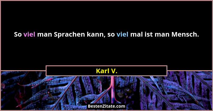 So viel man Sprachen kann, so viel mal ist man Mensch.... - Karl V.