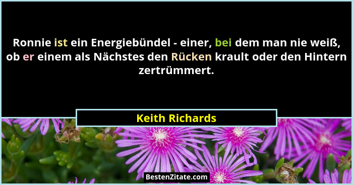 Ronnie ist ein Energiebündel - einer, bei dem man nie weiß, ob er einem als Nächstes den Rücken krault oder den Hintern zertrümmert.... - Keith Richards