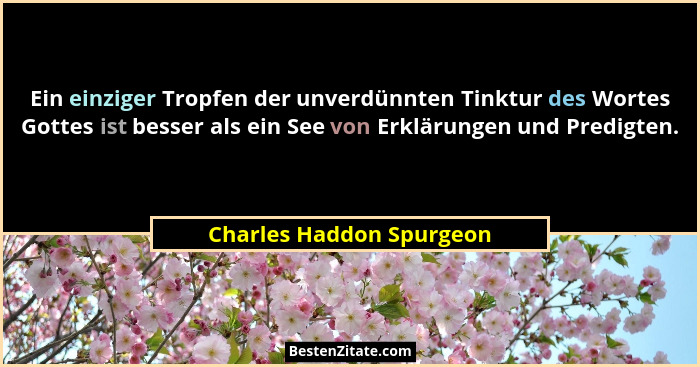 Ein einziger Tropfen der unverdünnten Tinktur des Wortes Gottes ist besser als ein See von Erklärungen und Predigten.... - Charles Haddon Spurgeon