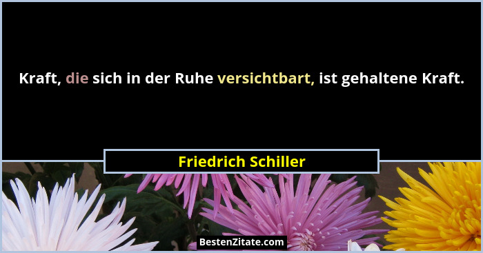 Kraft, die sich in der Ruhe versichtbart, ist gehaltene Kraft.... - Friedrich Schiller