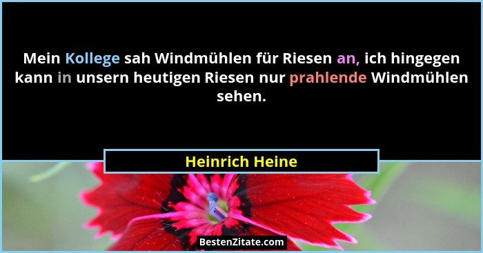 Mein Kollege sah Windmühlen für Riesen an, ich hingegen kann in unsern heutigen Riesen nur prahlende Windmühlen sehen.... - Heinrich Heine