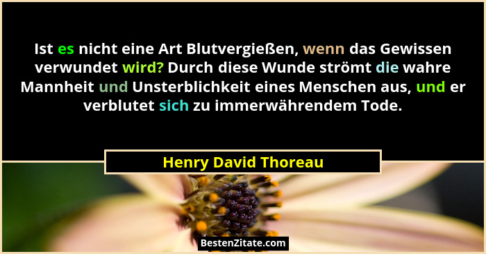 Ist es nicht eine Art Blutvergießen, wenn das Gewissen verwundet wird? Durch diese Wunde strömt die wahre Mannheit und Unsterbli... - Henry David Thoreau