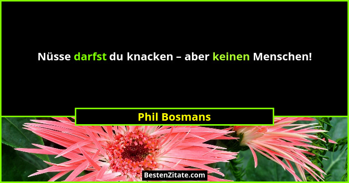 Nüsse darfst du knacken – aber keinen Menschen!... - Phil Bosmans