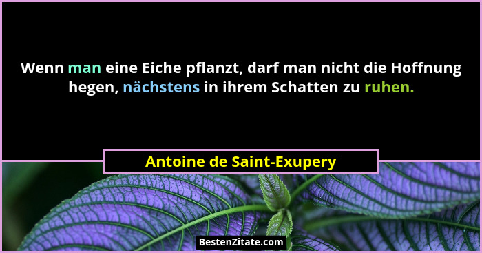 Wenn man eine Eiche pflanzt, darf man nicht die Hoffnung hegen, nächstens in ihrem Schatten zu ruhen.... - Antoine de Saint-Exupery