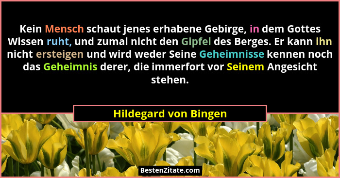 Kein Mensch schaut jenes erhabene Gebirge, in dem Gottes Wissen ruht, und zumal nicht den Gipfel des Berges. Er kann ihn nicht... - Hildegard von Bingen