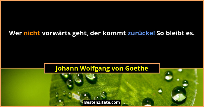 Wer nicht vorwärts geht, der kommt zurücke! So bleibt es.... - Johann Wolfgang von Goethe