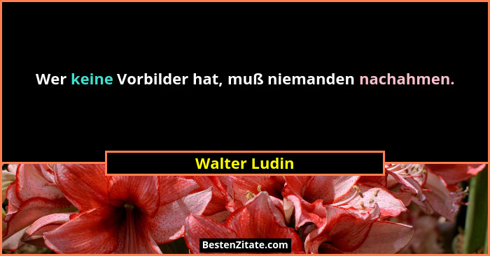 Wer keine Vorbilder hat, muß niemanden nachahmen.... - Walter Ludin