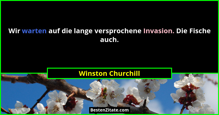 Wir warten auf die lange versprochene Invasion. Die Fische auch.... - Winston Churchill