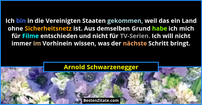 Ich bin in die Vereinigten Staaten gekommen, weil das ein Land ohne Sicherheitsnetz ist. Aus demselben Grund habe ich mich für... - Arnold Schwarzenegger