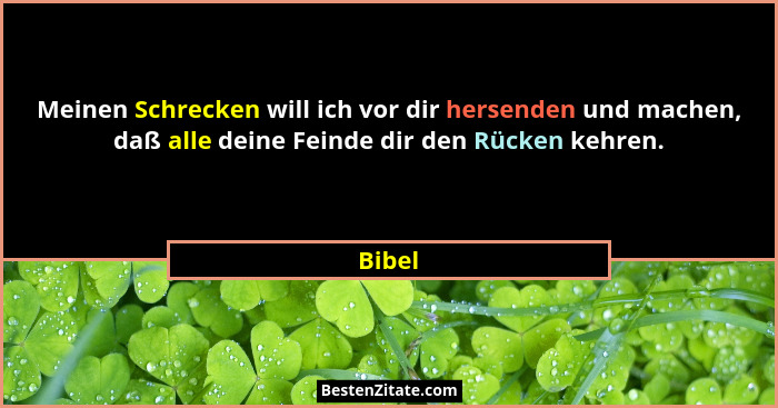 Meinen Schrecken will ich vor dir hersenden und machen, daß alle deine Feinde dir den Rücken kehren.... - Bibel