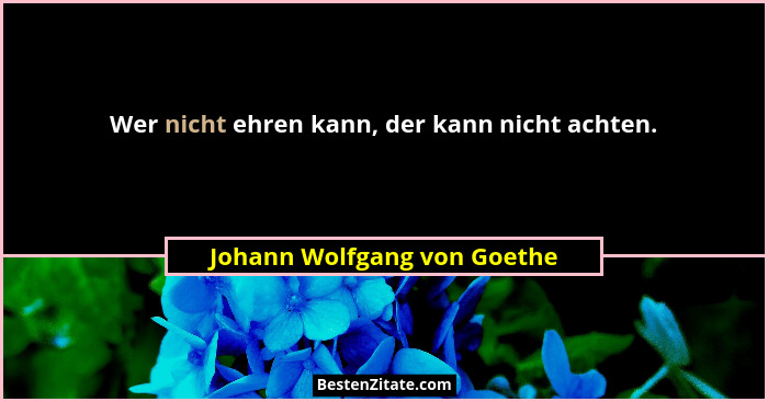Wer nicht ehren kann, der kann nicht achten.... - Johann Wolfgang von Goethe