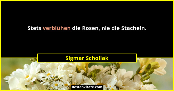Stets verblühen die Rosen, nie die Stacheln.... - Sigmar Schollak