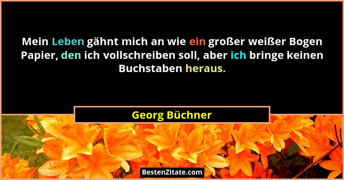 Mein Leben gähnt mich an wie ein großer weißer Bogen Papier, den ich vollschreiben soll, aber ich bringe keinen Buchstaben heraus.... - Georg Büchner