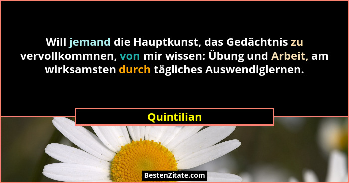 Will jemand die Hauptkunst, das Gedächtnis zu vervollkommnen, von mir wissen: Übung und Arbeit, am wirksamsten durch tägliches Auswendigl... - Quintilian
