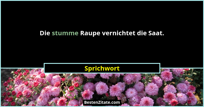 Die stumme Raupe vernichtet die Saat.... - Sprichwort